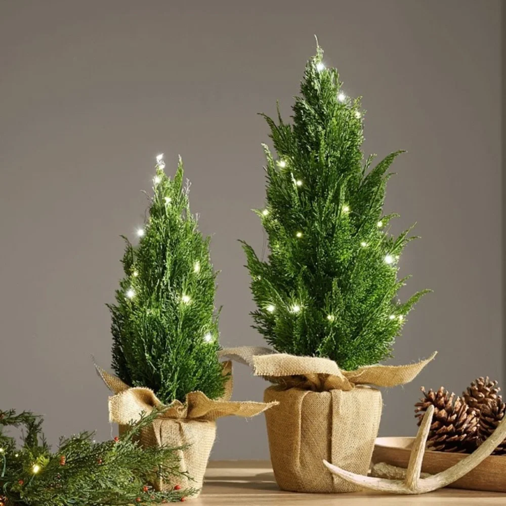 NWT Pottery Barn Small Lit Topiary Tree with Burlap Base - Picture 2 of 4
